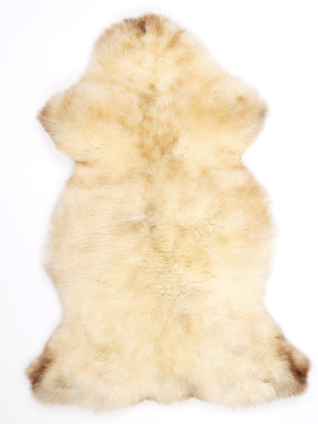 Įvairiaspalvis avikailis XL