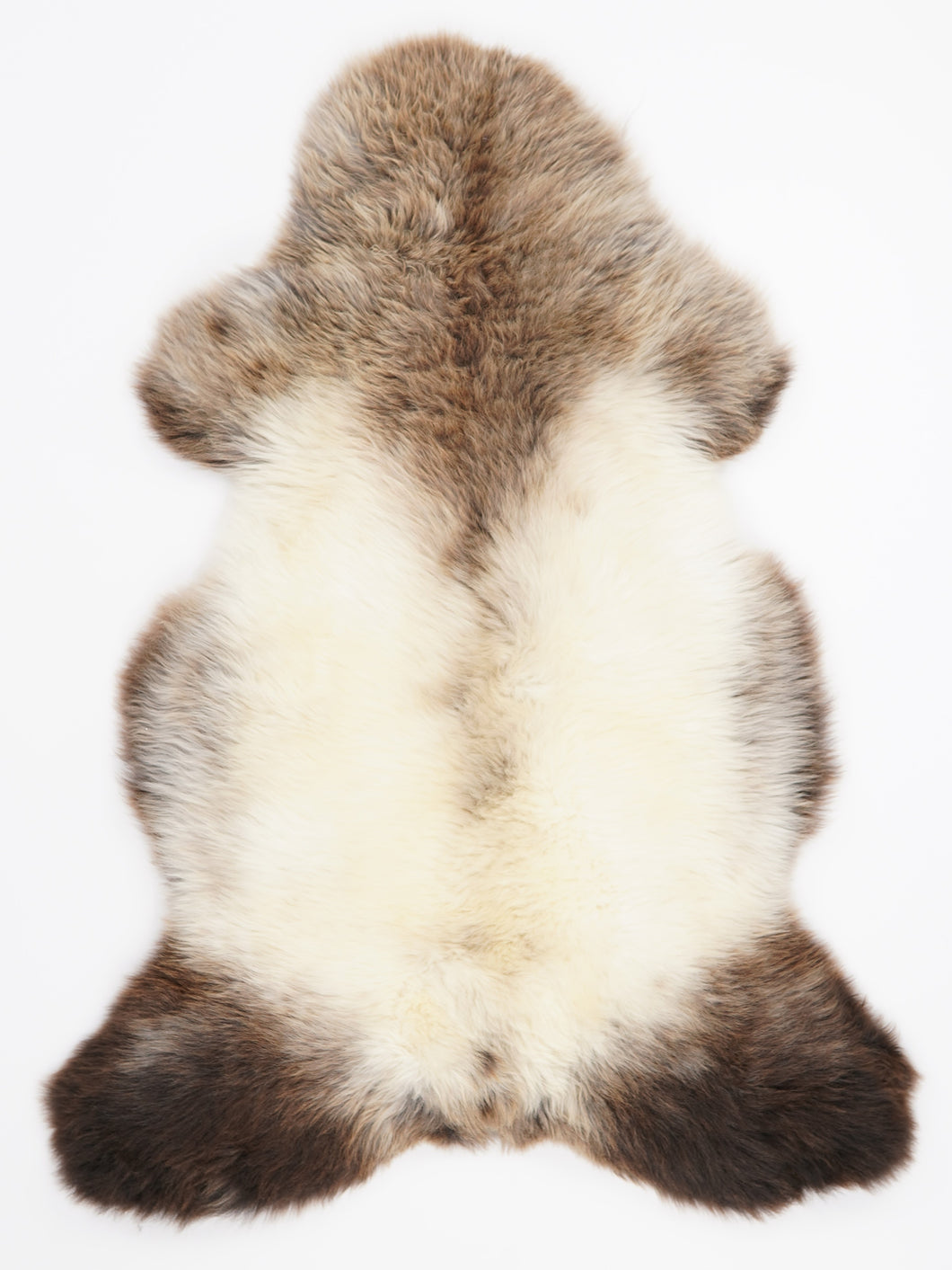 Įvairiaspalvis avikailis L