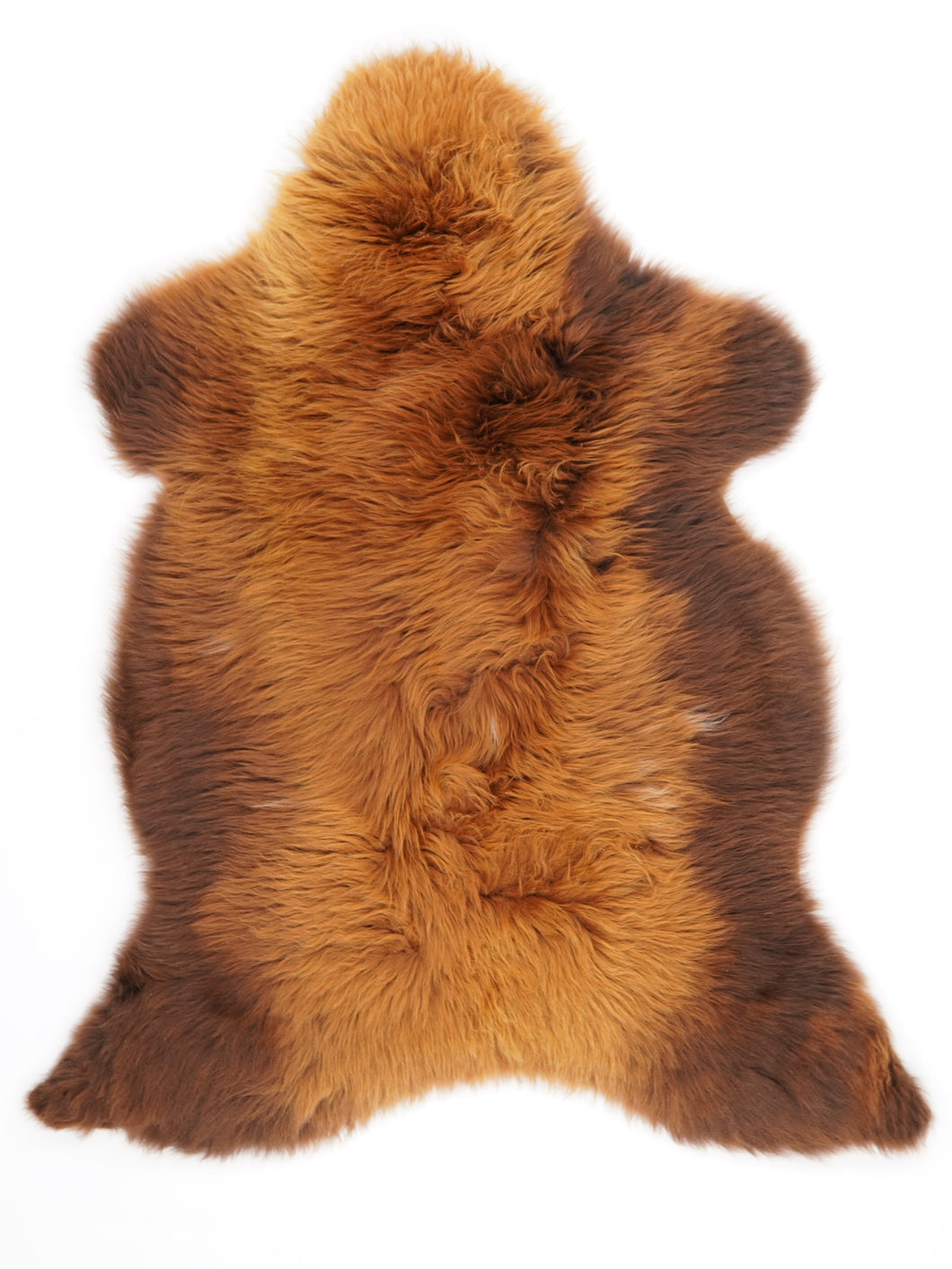 Įvairiaspalvis avikailis XL