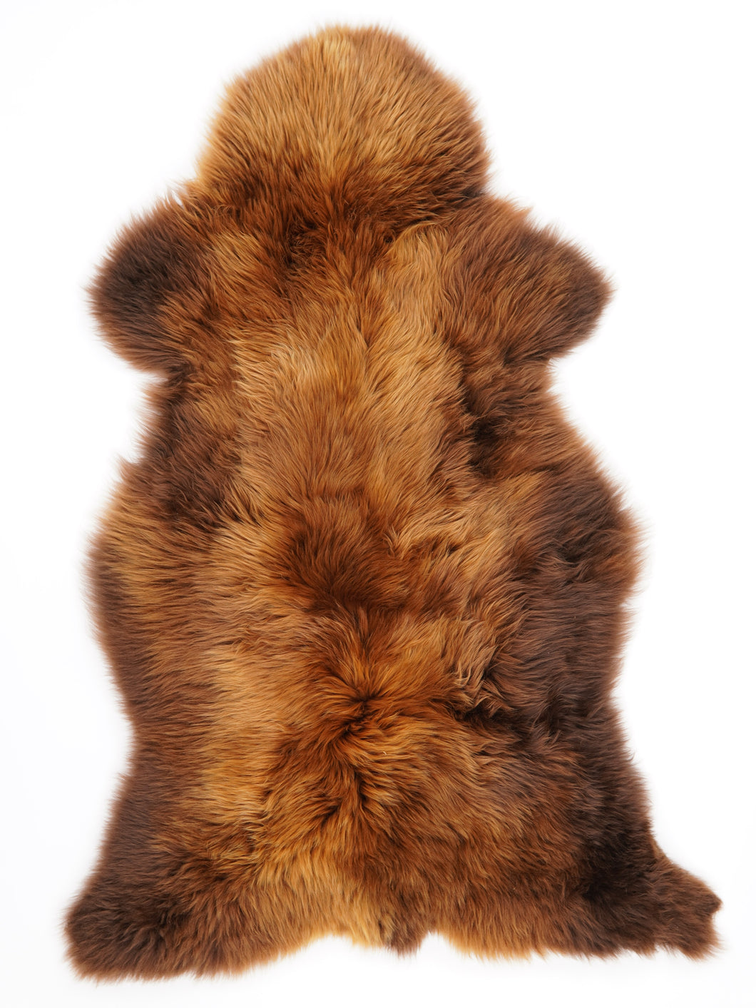 Įvairiaspalvis avikailis XXXL