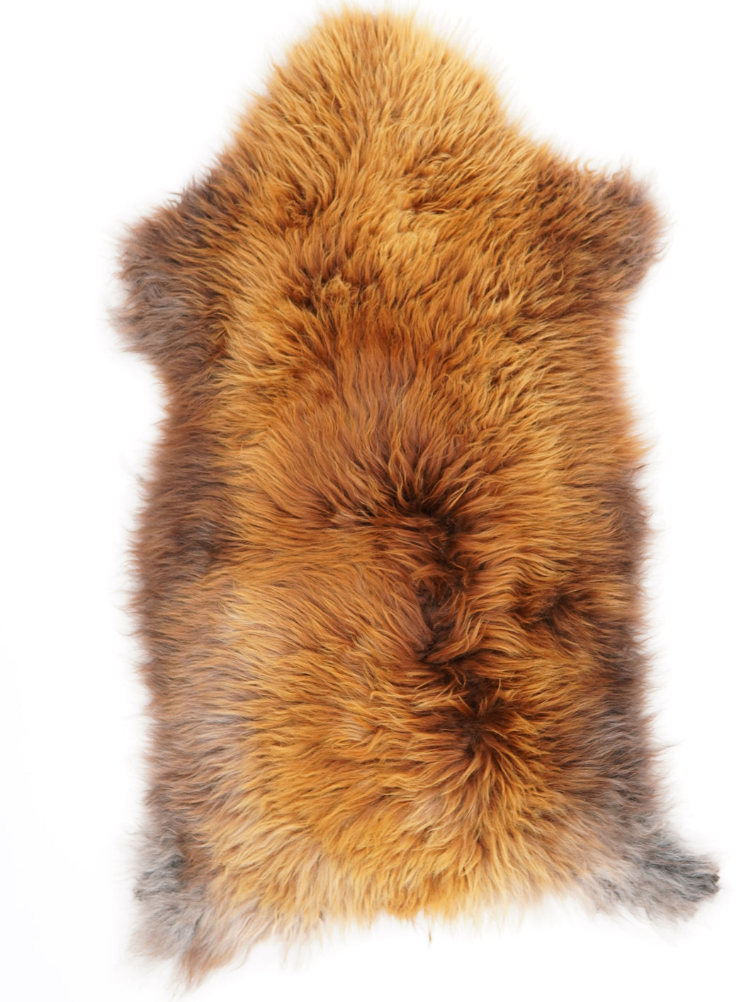 Įvairiaspalvis avikailis M