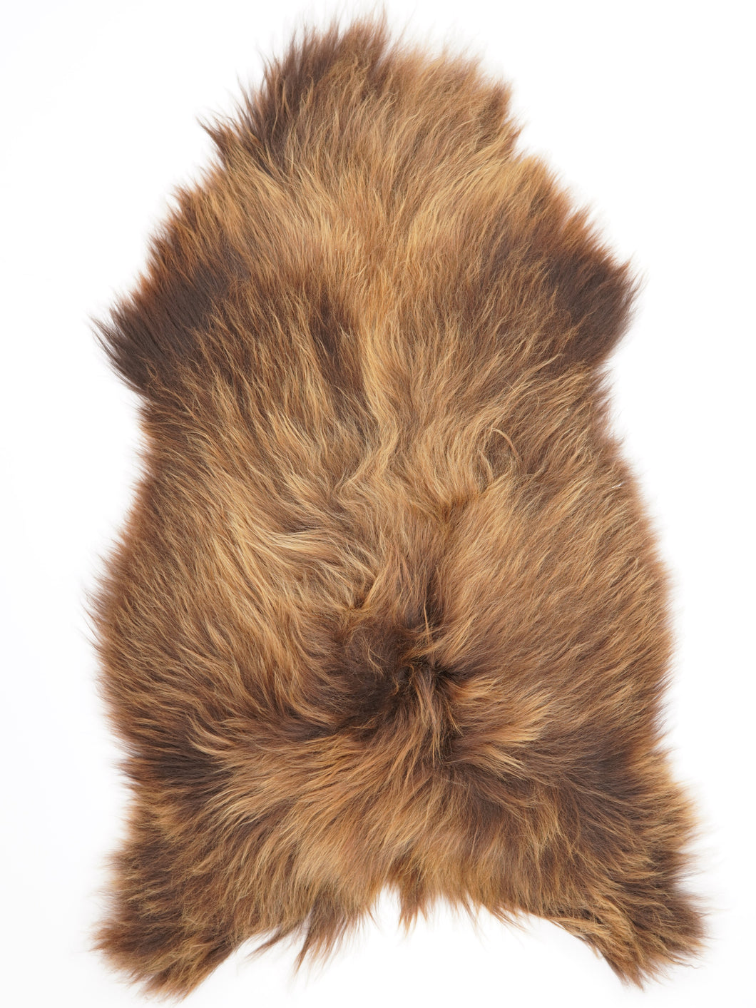 Islandská ovčí kůže XXL