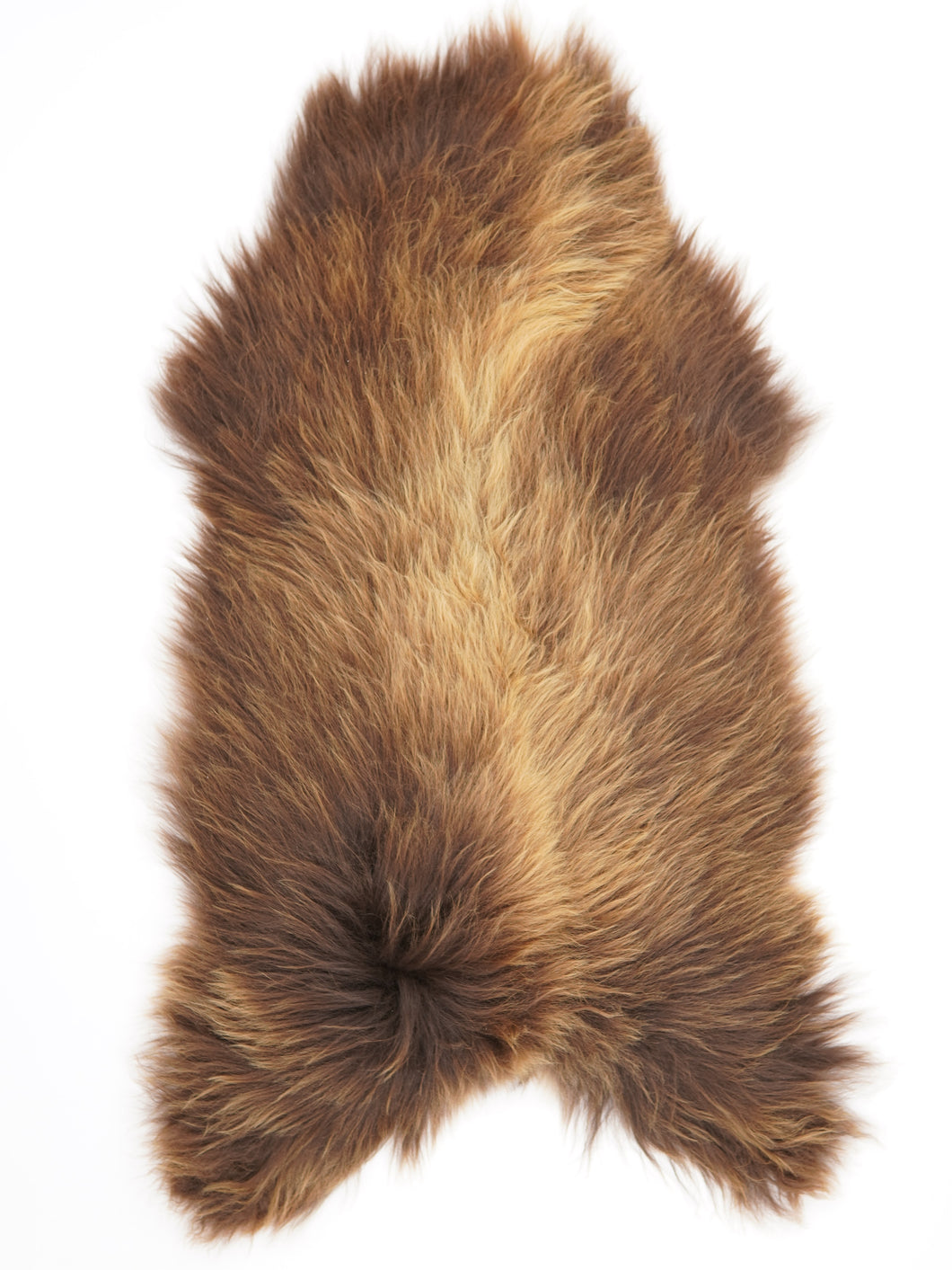 Islandská ovčí kůže XXL