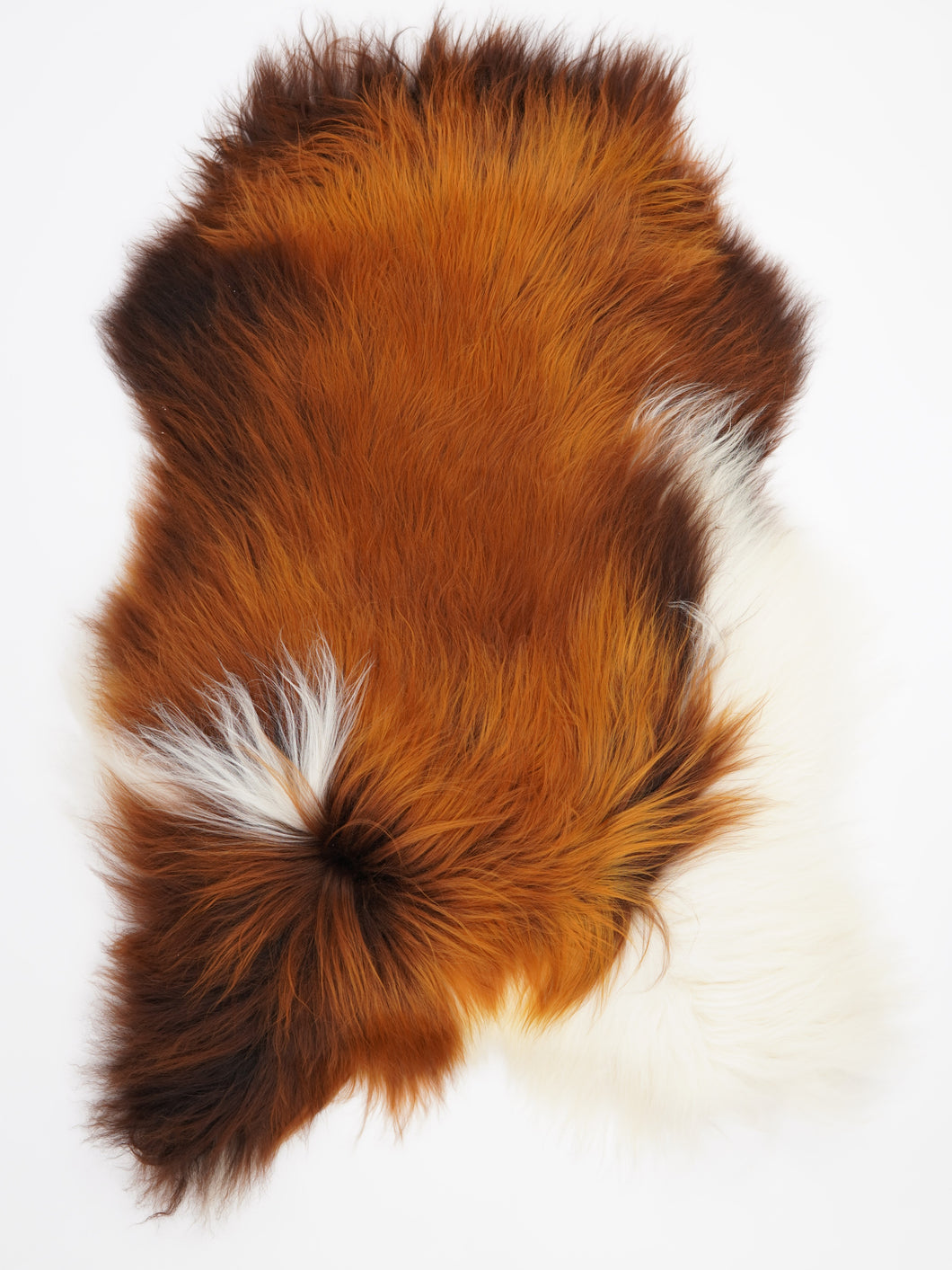 Islandská ovčí kůže XXXL