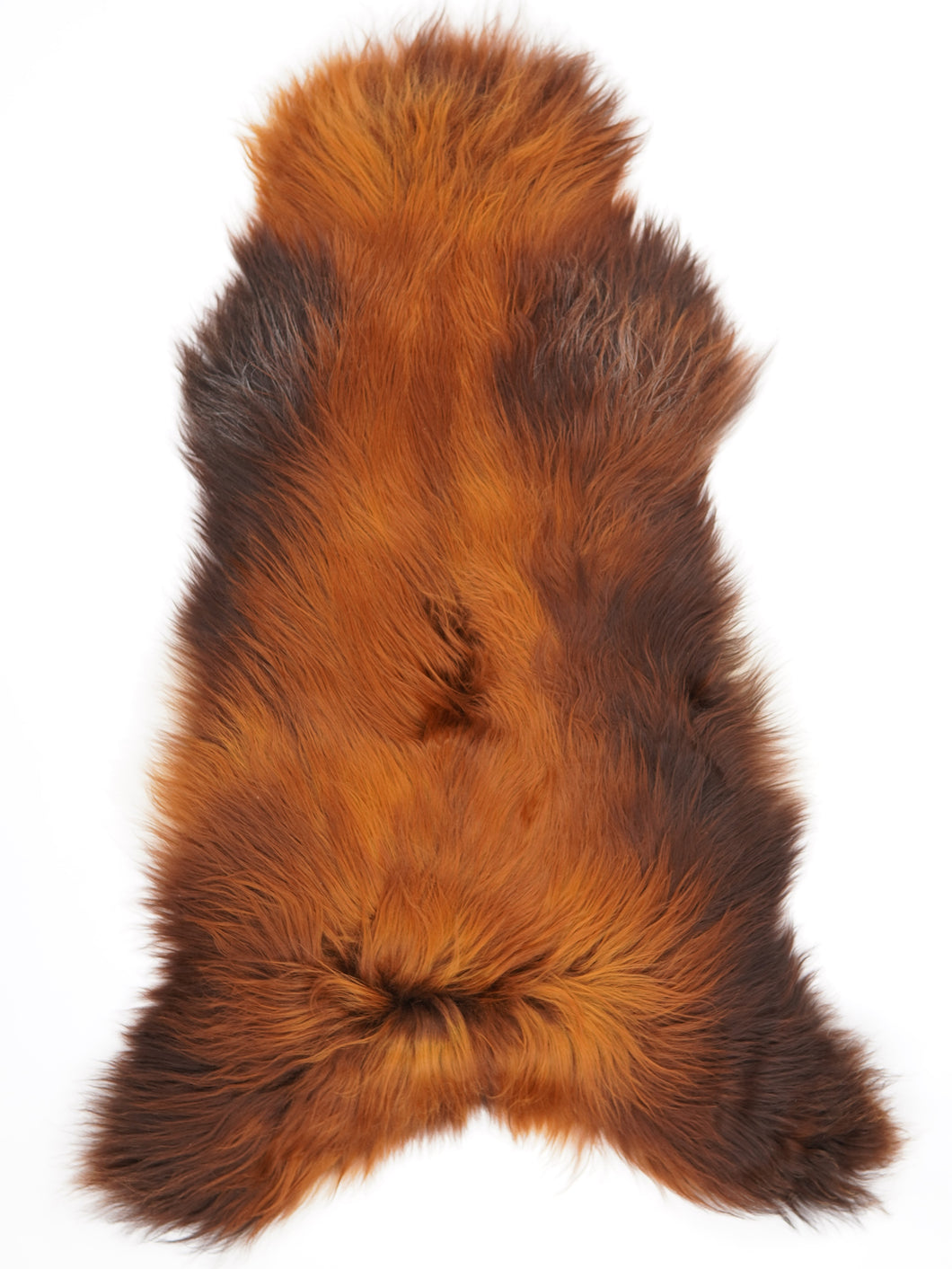 Islandská ovčí kůže XXXL