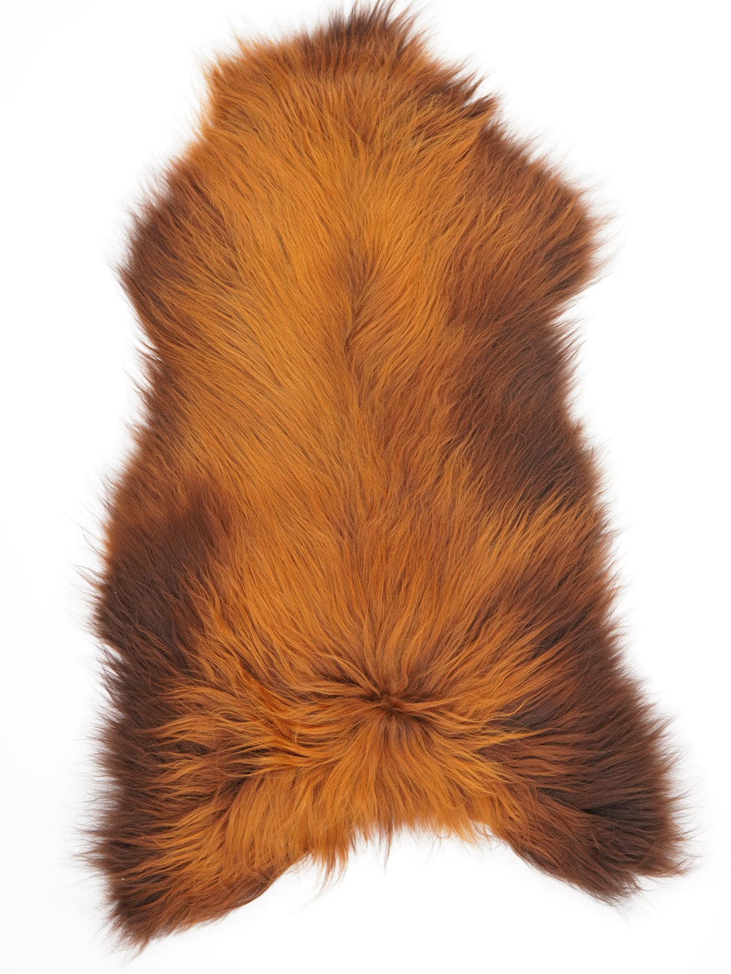 Islandská ovčí kůže XXL