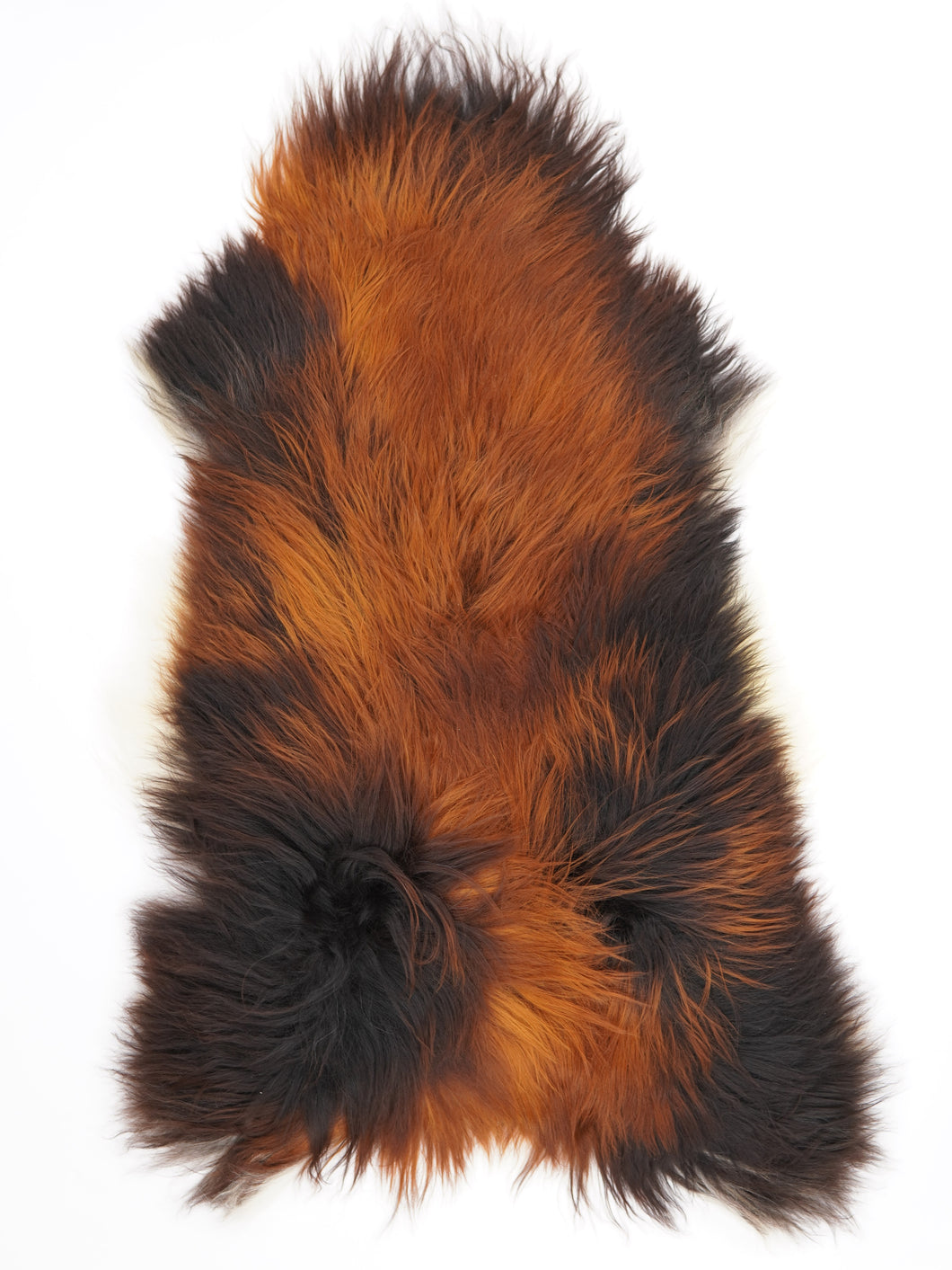 Islandská ovčí kůže XXXL