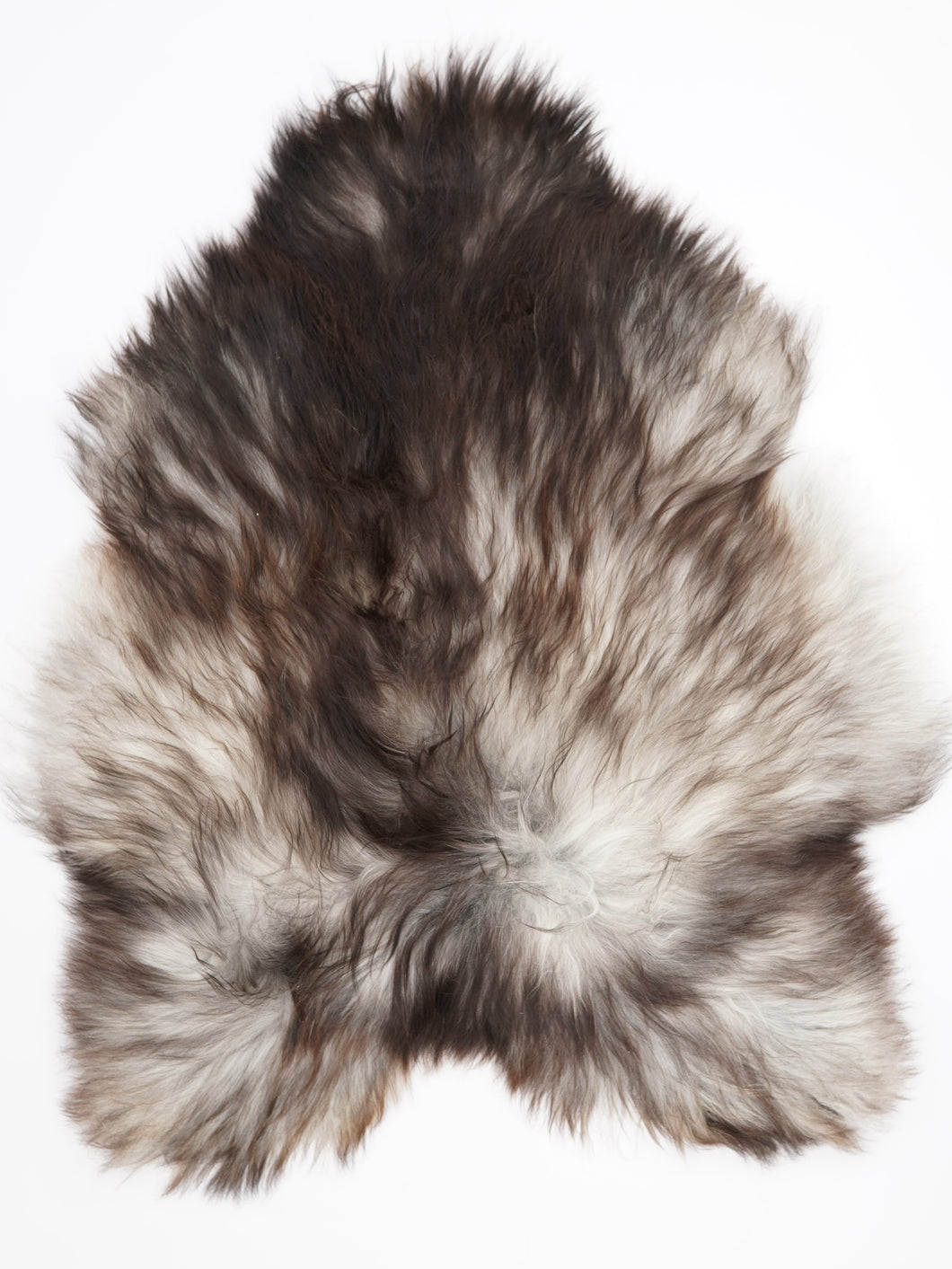 Pilkas islandiškas avikailis XL