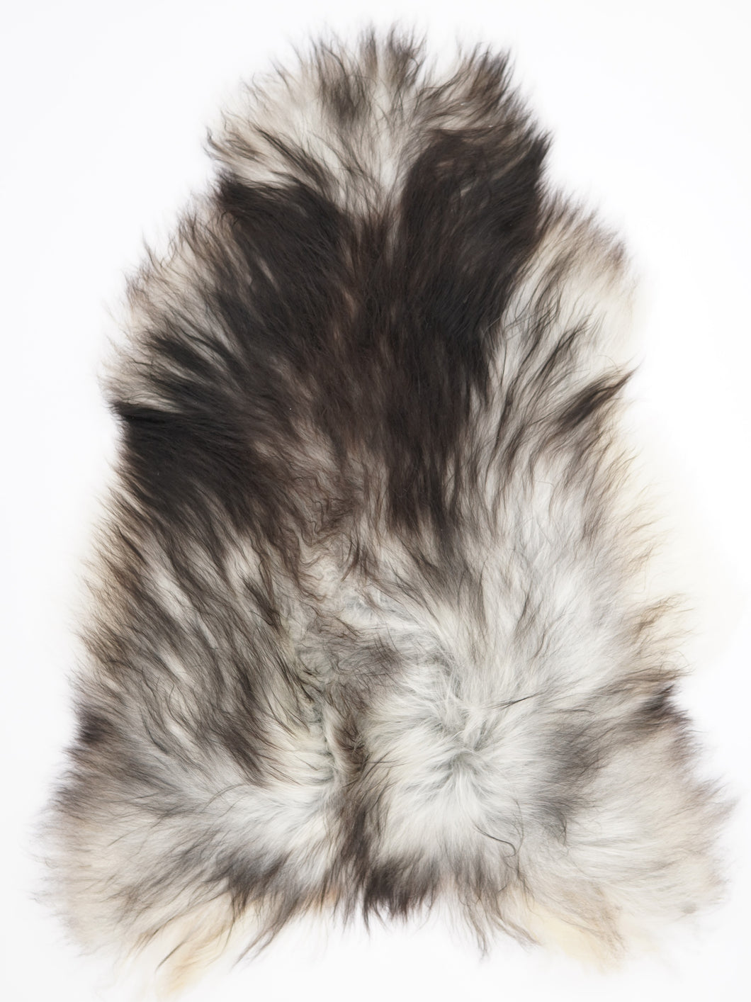 Pilkas islandiškas avikailis XL