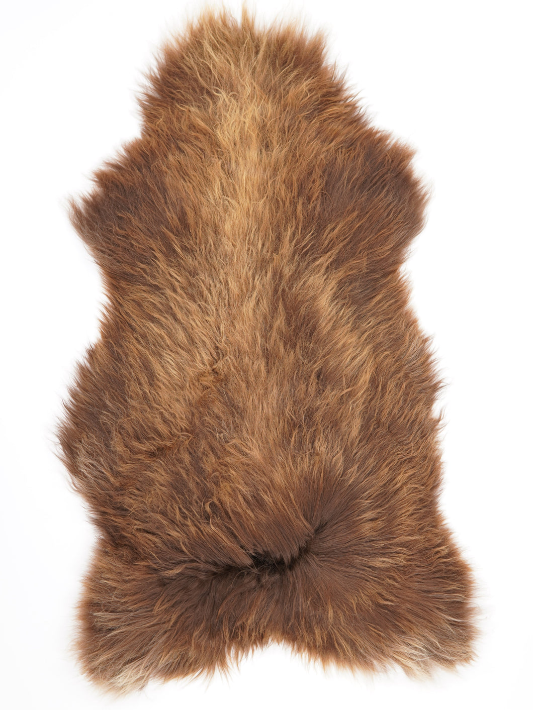 Islandská ovčí kůže XXL