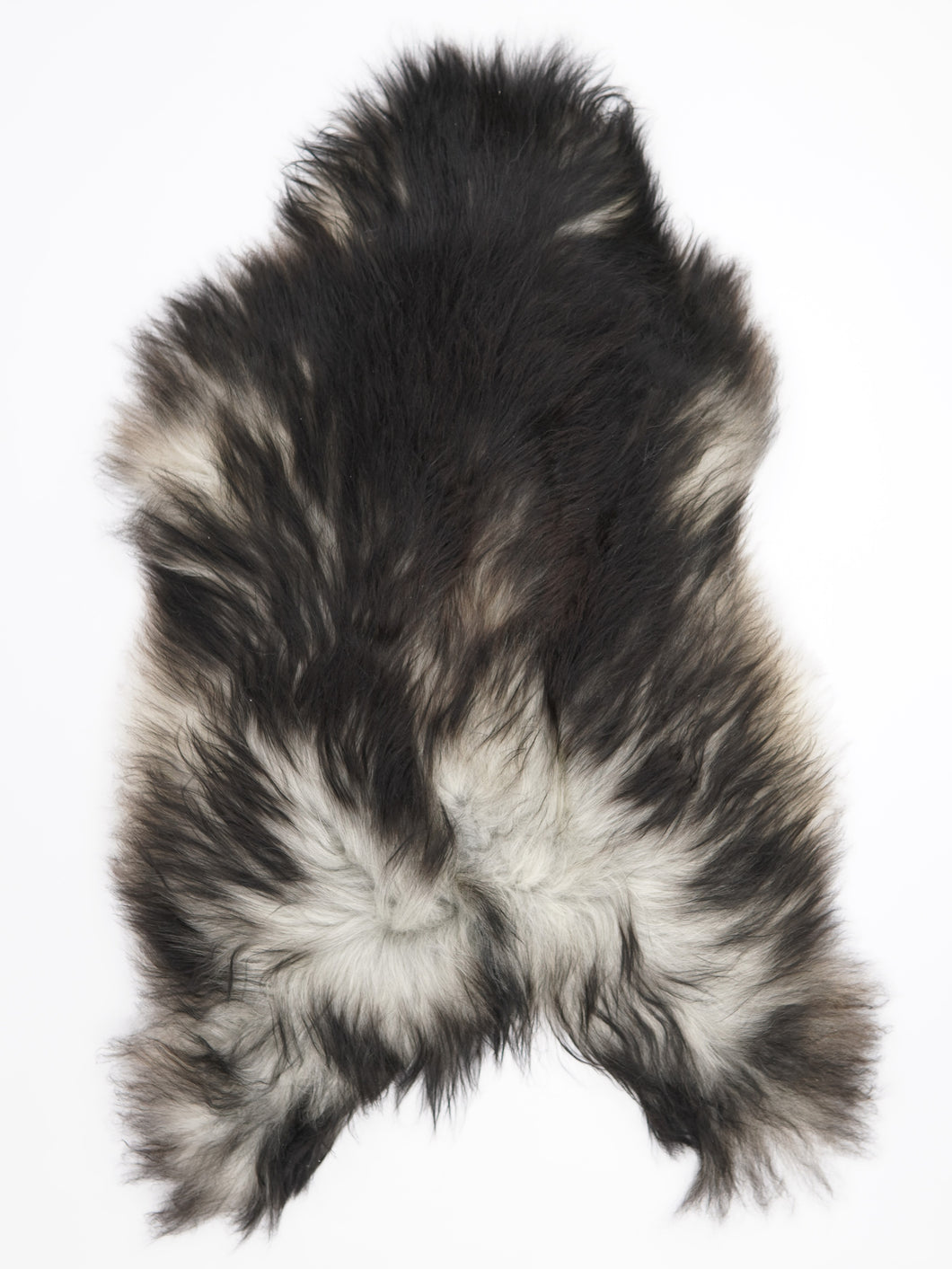 Pilkas islandiškas avikailis XL