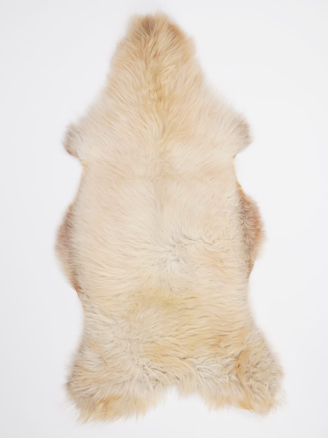 B klasės Vícebarevná ovčí kůže XXL