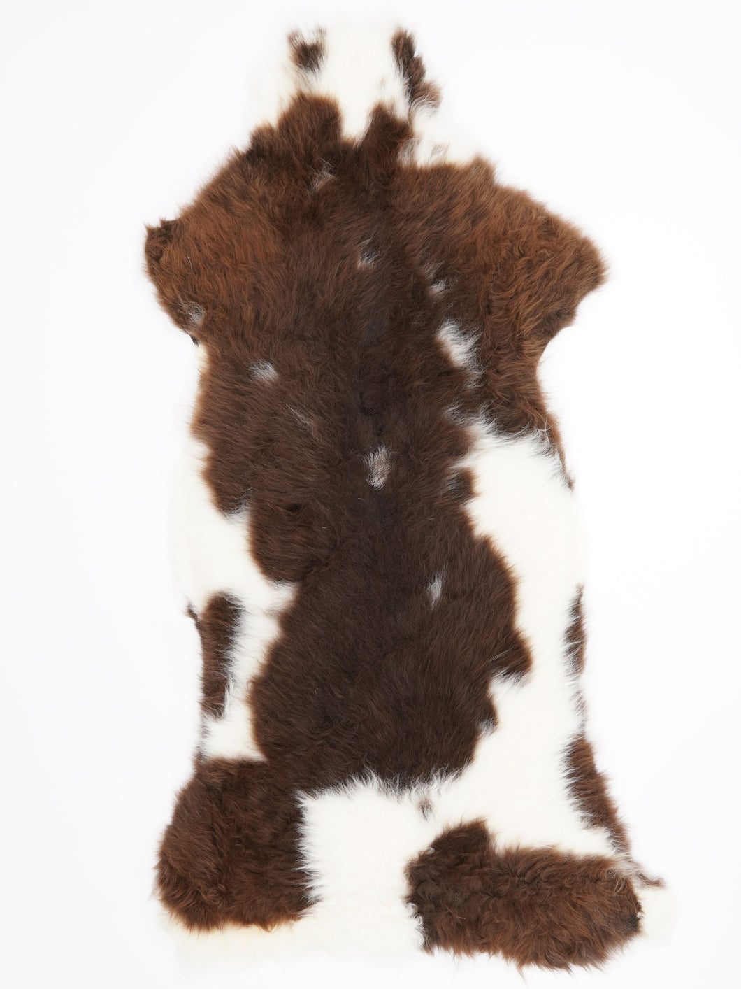 B klasės Vícebarevná ovčí kůže XXL