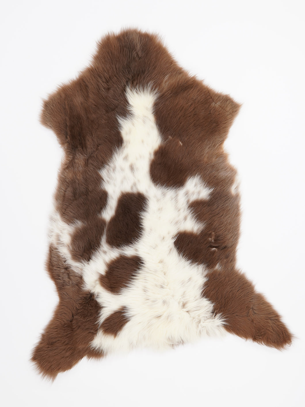 B klasės Vícebarevná ovčí kůže L