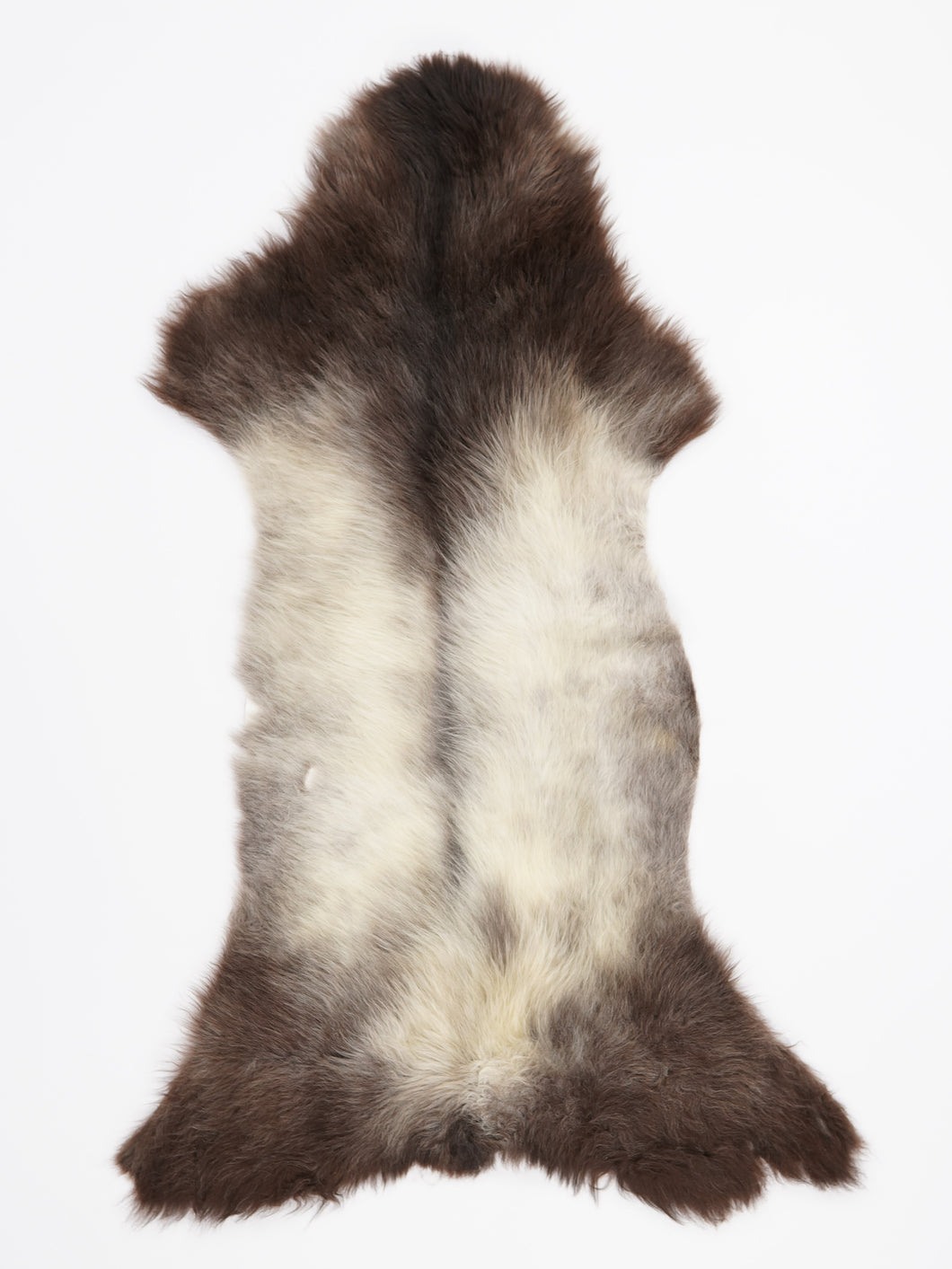 B klasės Vícebarevná ovčí kůže L