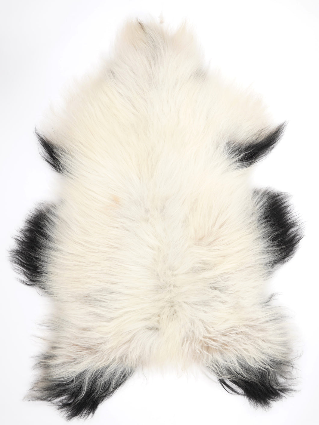 Islandská ovčí kůže XXL