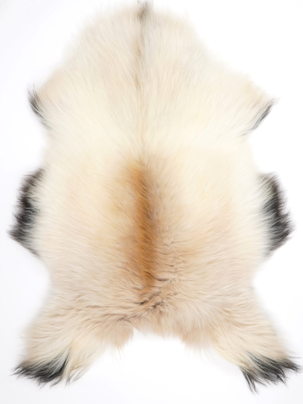 Islandská ovčí kůže XL