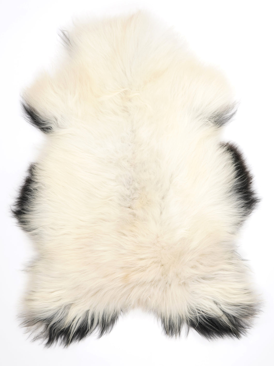 Islandská ovčí kůže XL