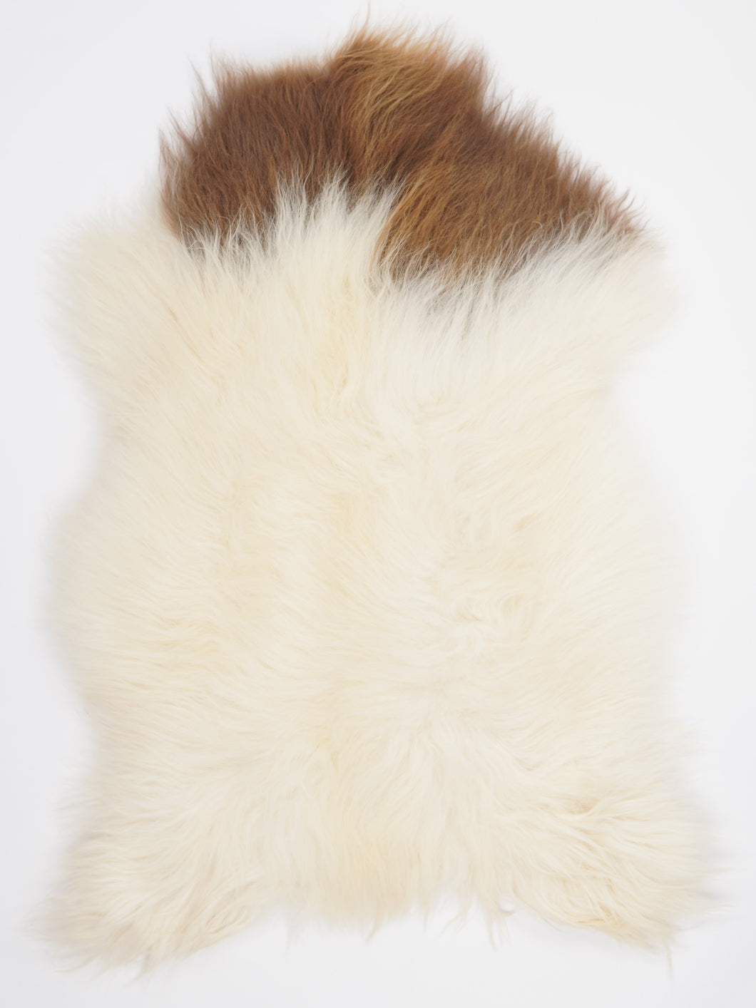 Islandská ovčí kůže XL