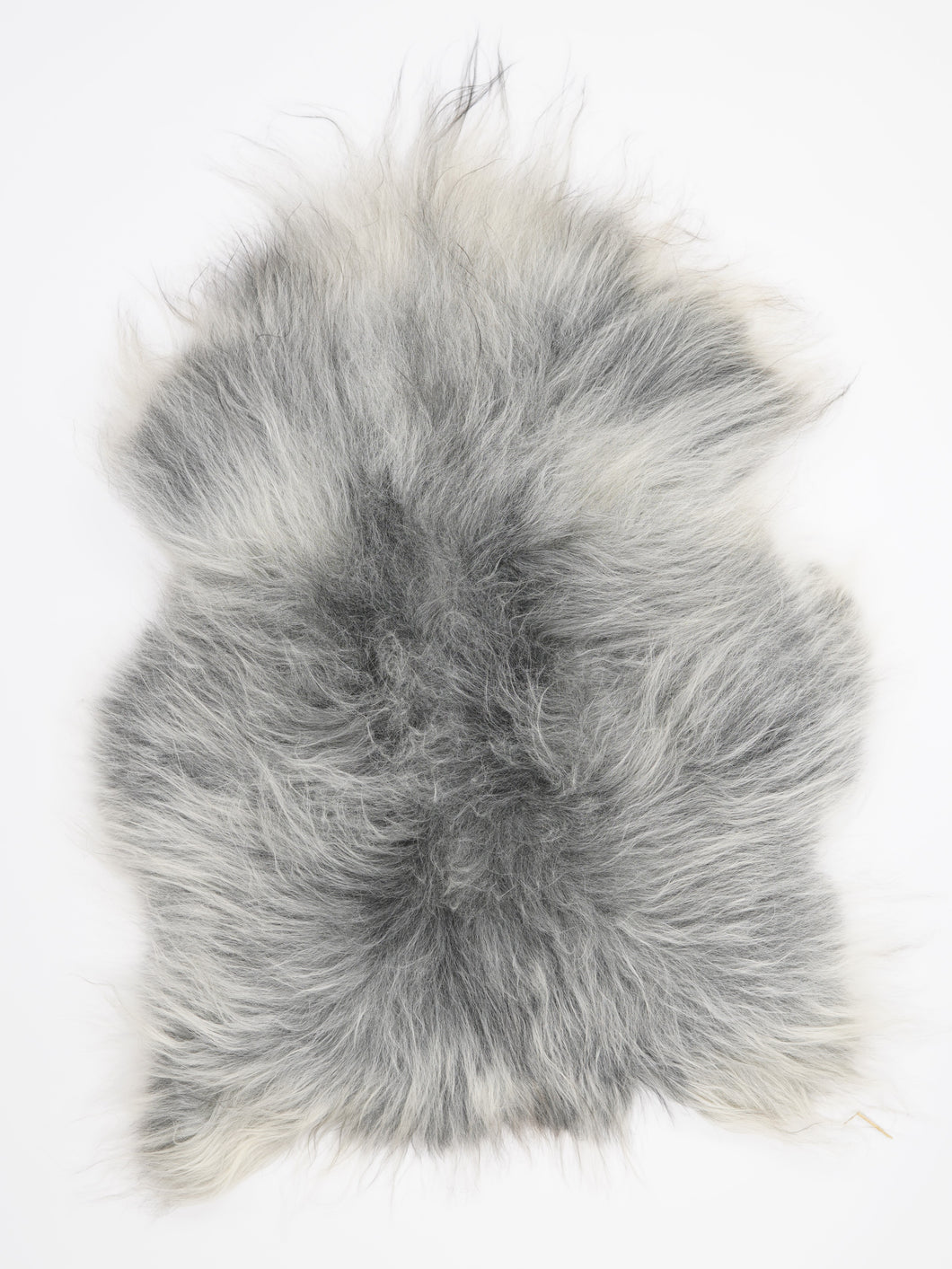 Pilkas islandiškas avikailis XL