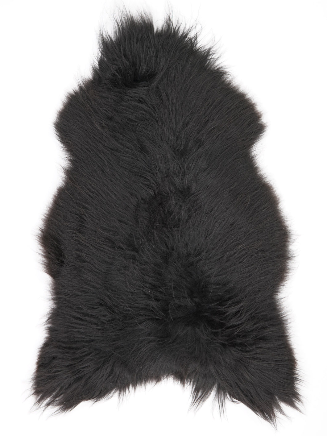 Juodas islandiškas avikailis L