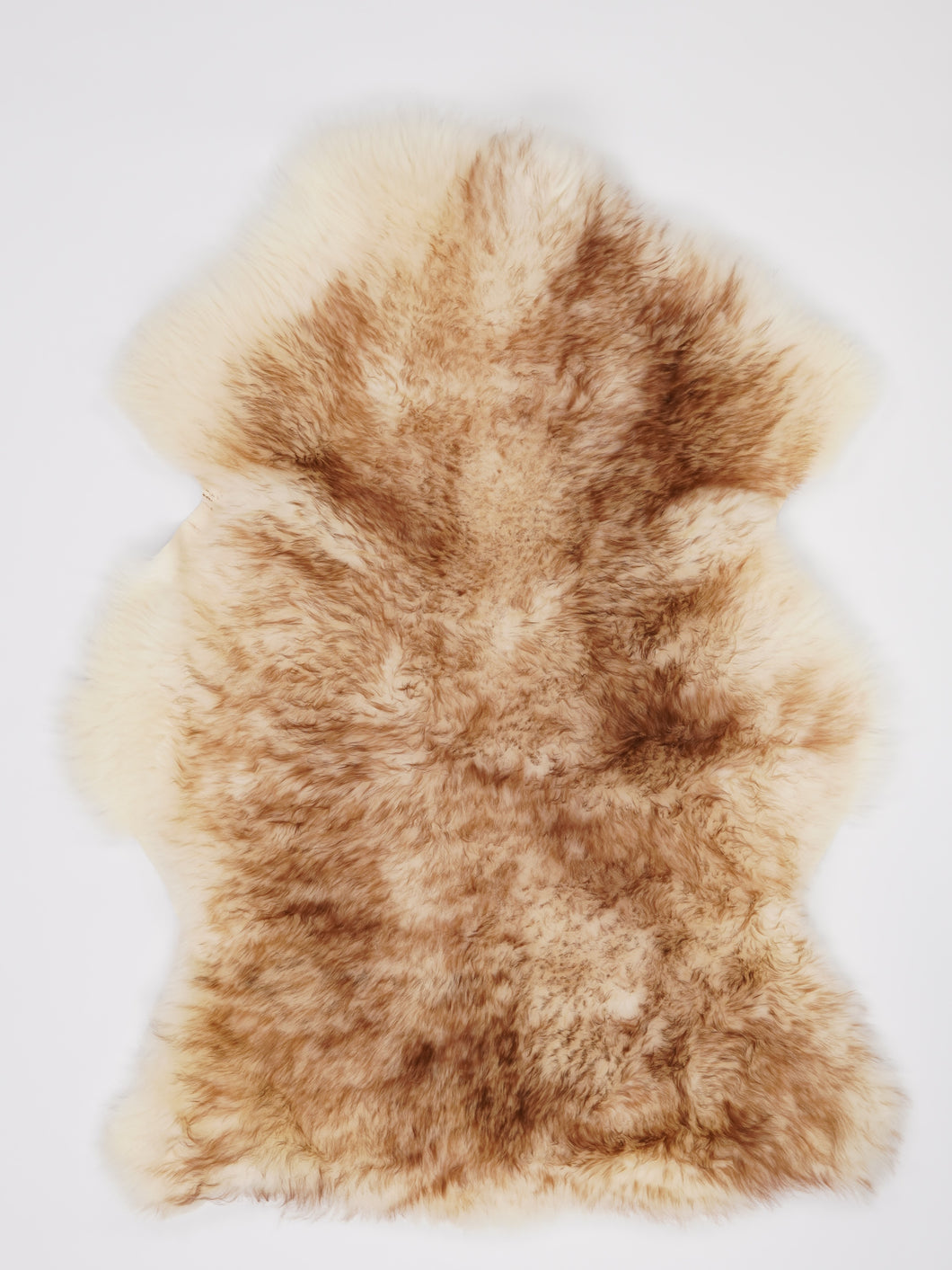 Muflono avikailis XL