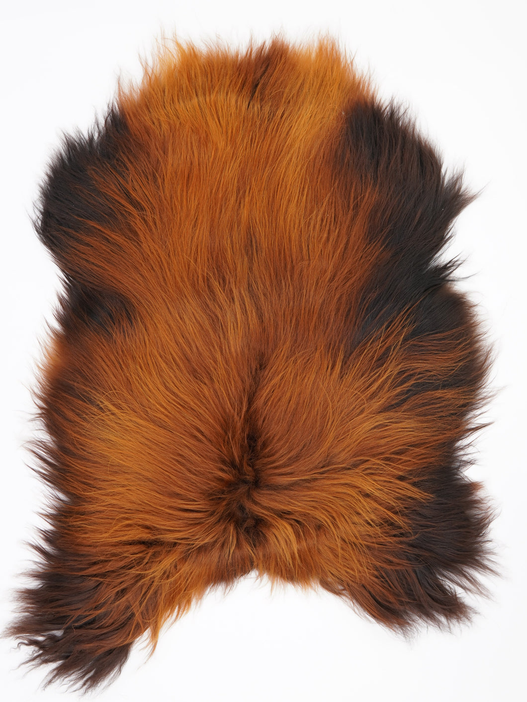 Islandská ovčí kůže „Rusty“ L