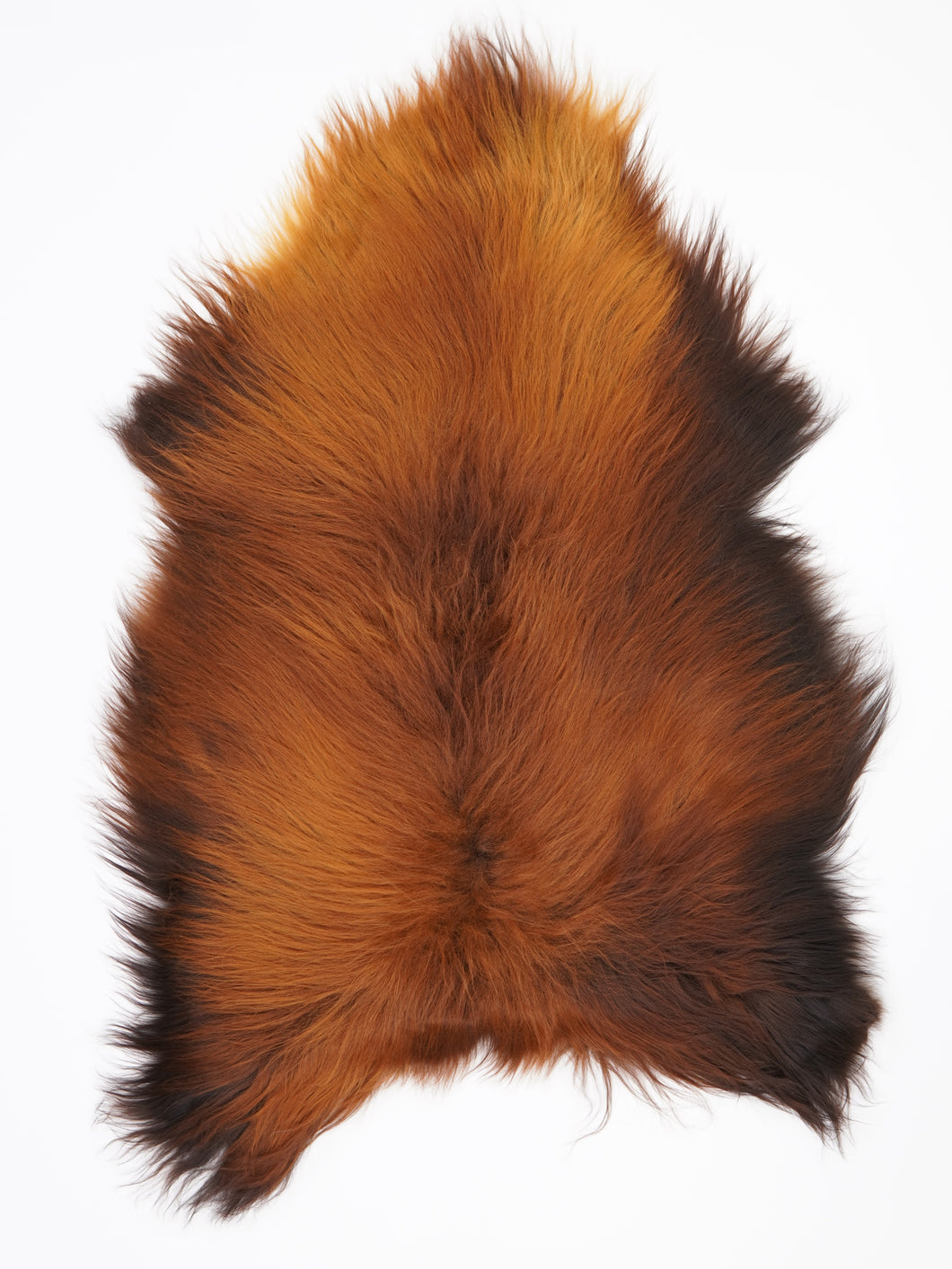 Islandská ovčí kůže „Rusty“ L