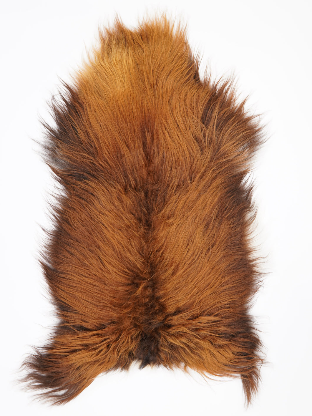 Islandská ovčí kůže „Rusty“ L