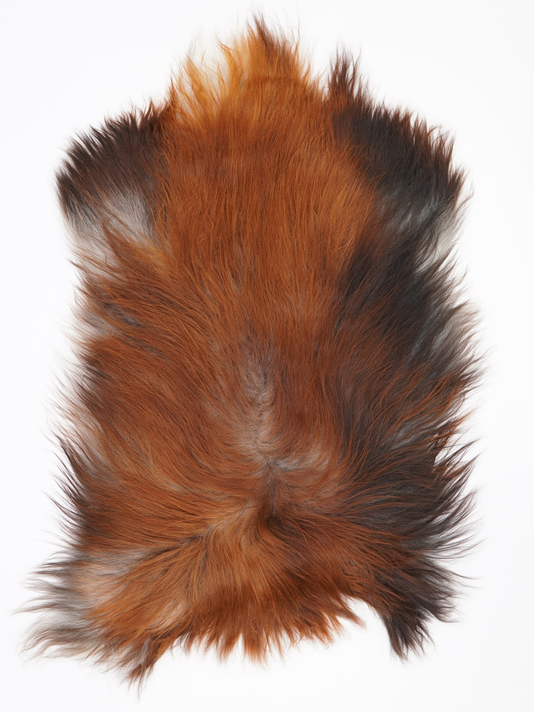 Islandská ovčí kůže „Rusty“ L