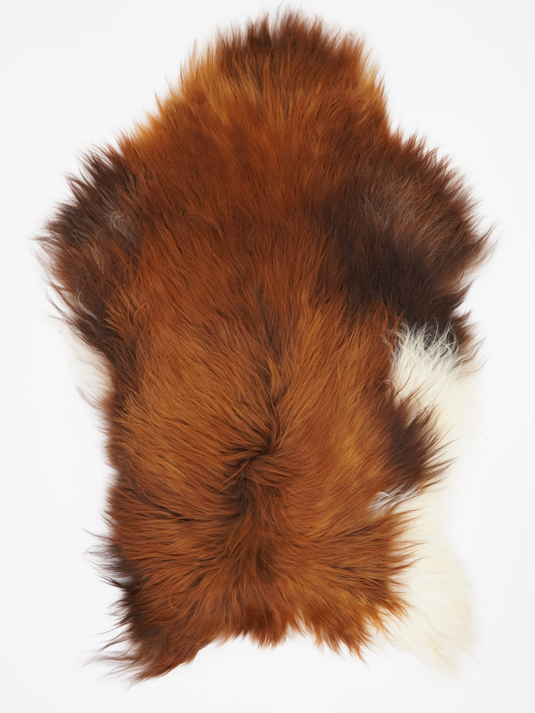 Islandiškas avikailis "Rusty" XL