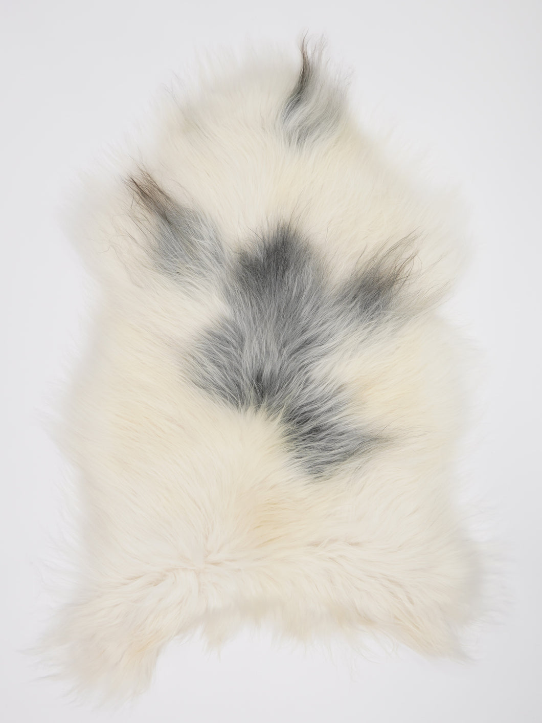 Islandská ovčí kůže XL