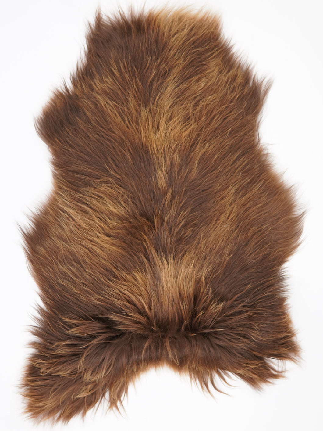 Islandská ovčí kůže XL