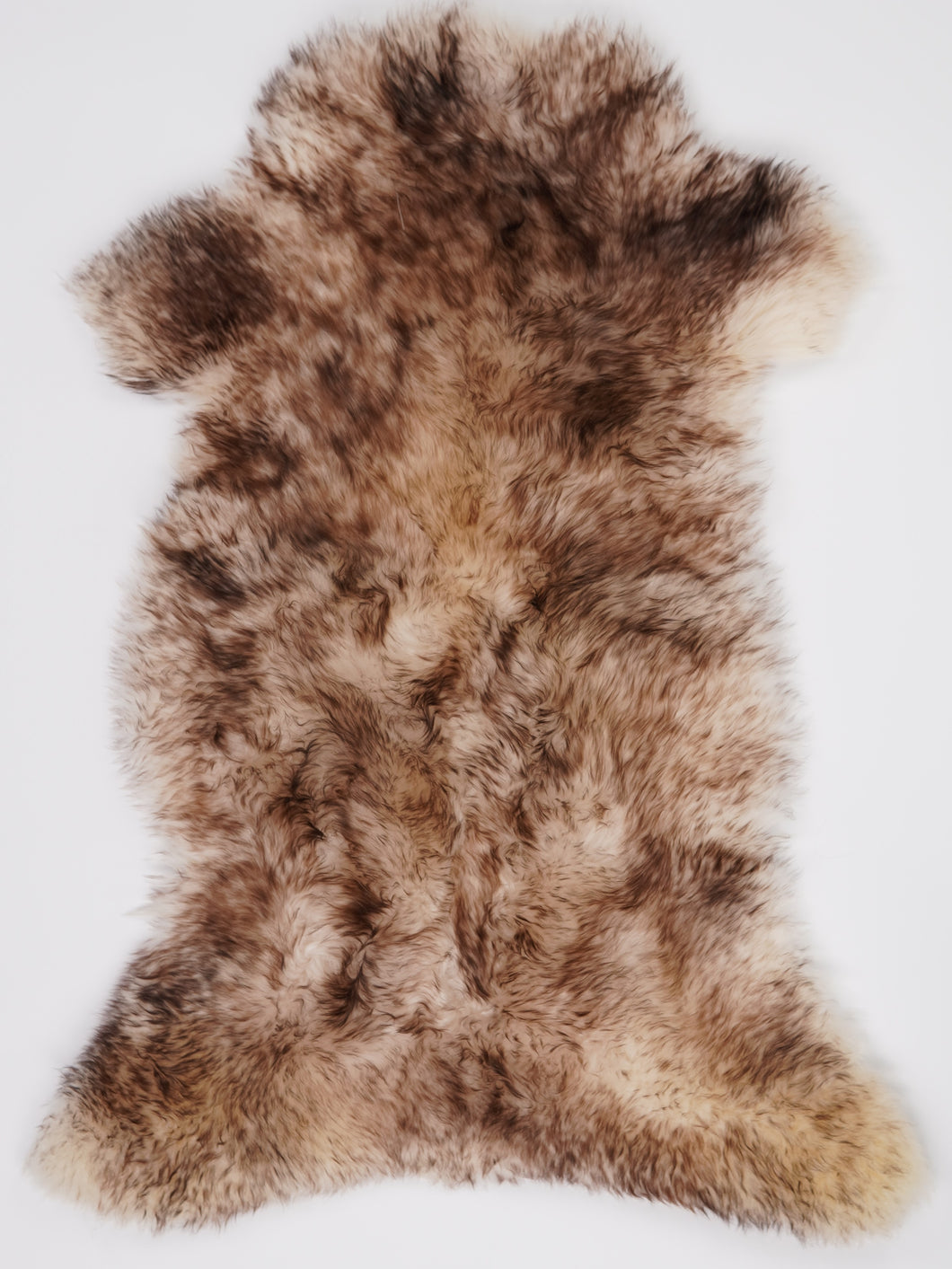 Muflono avikailis XL