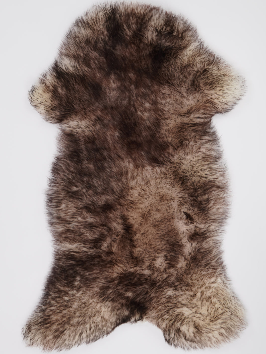 Muflono avikailis XL