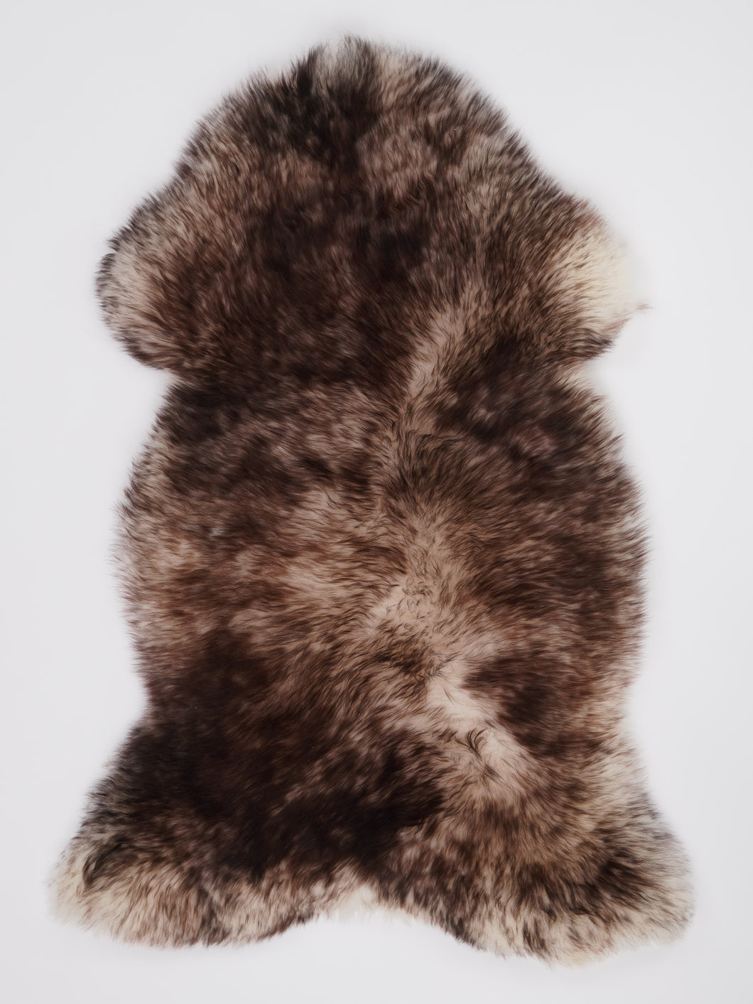 Muflono avikailis XL