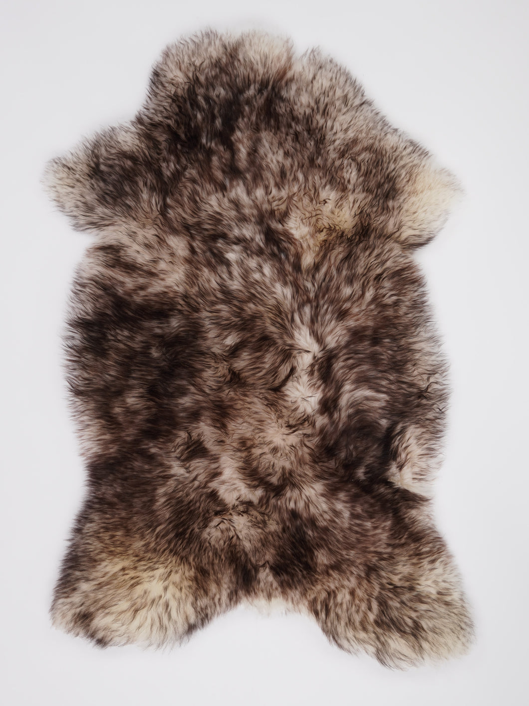 Muflono avikailis XL