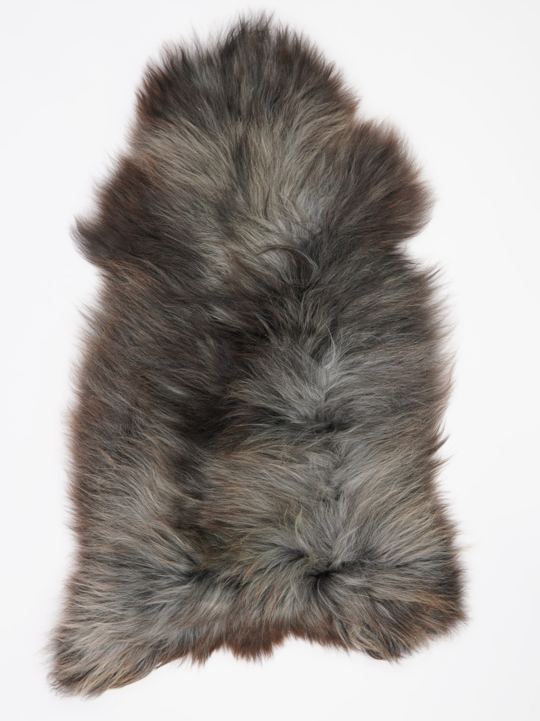 Įvairiaspalvis avikailis XL