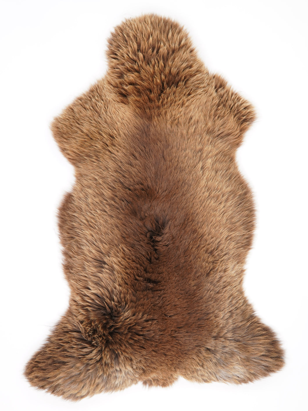 Rudas avikailis XXXL