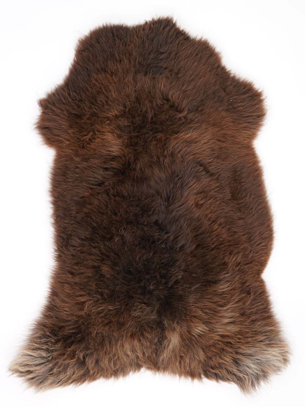 Rudas avikailis XXXL