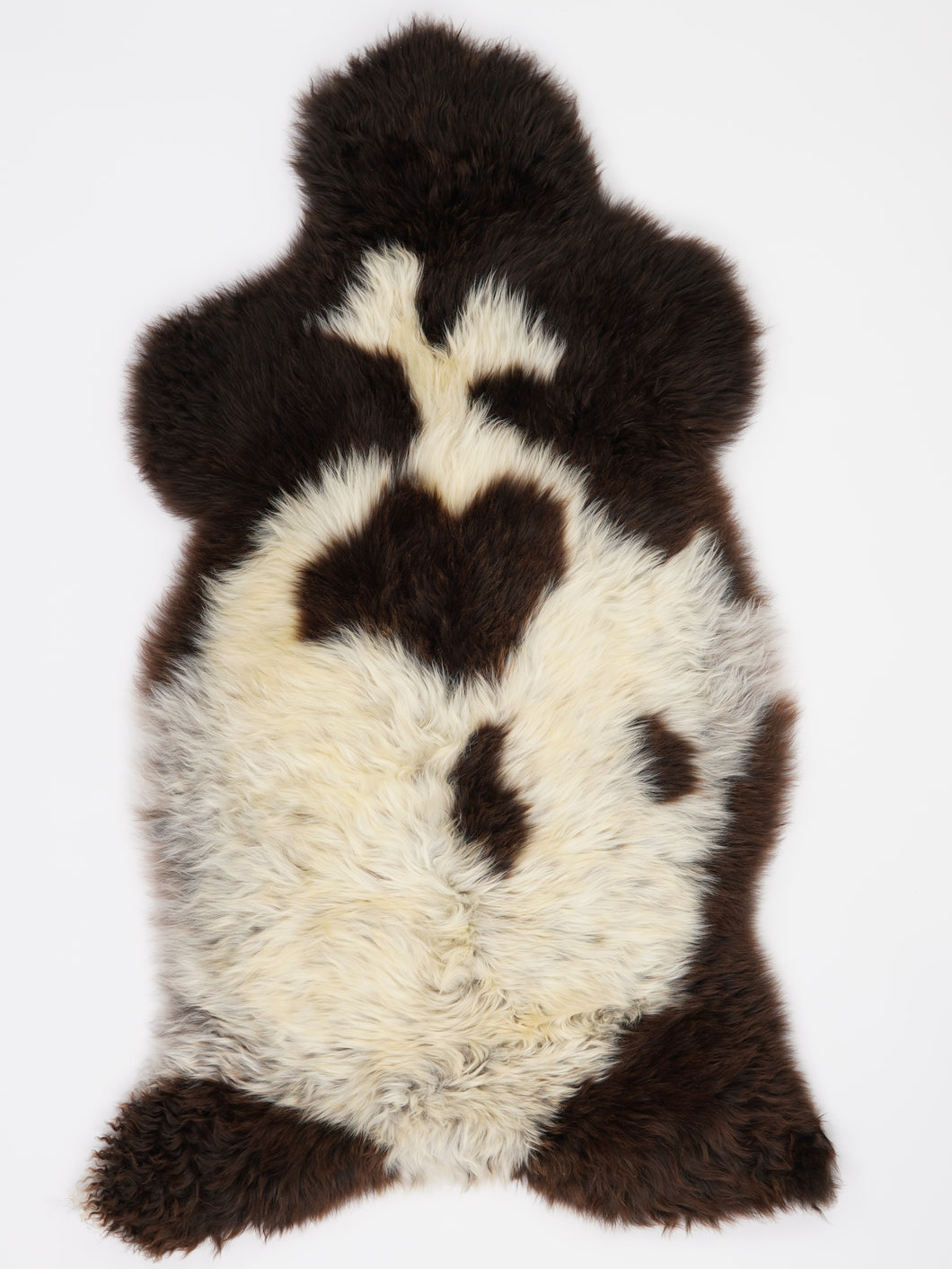 Įvairiaspalvis avikailis XL