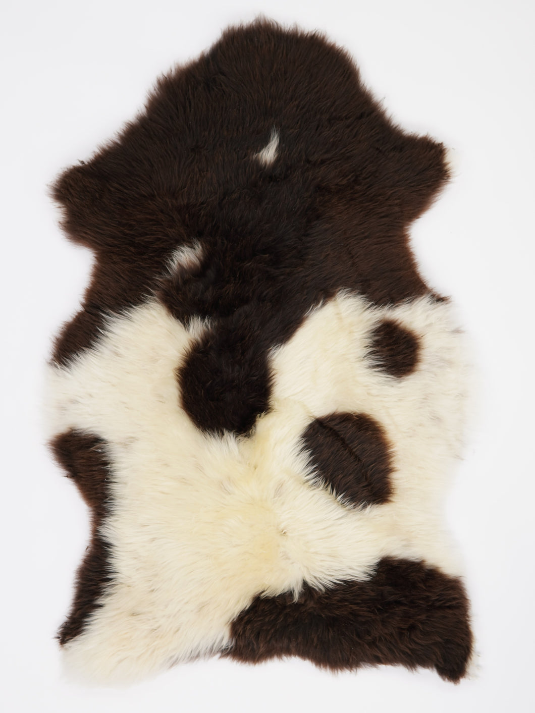 Įvairiaspalvis avikailis XL