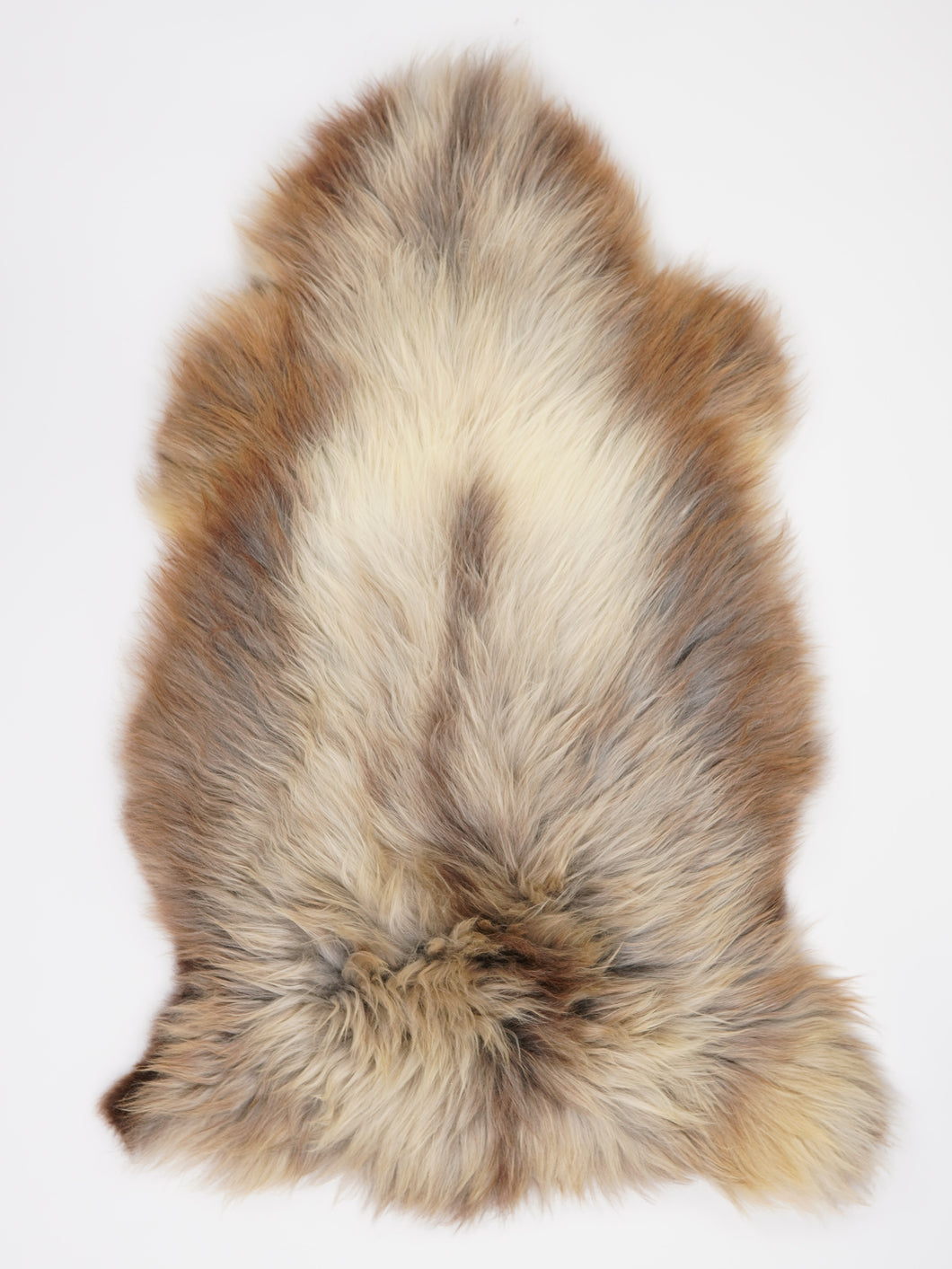 Įvairiaspalvis avikailis XL