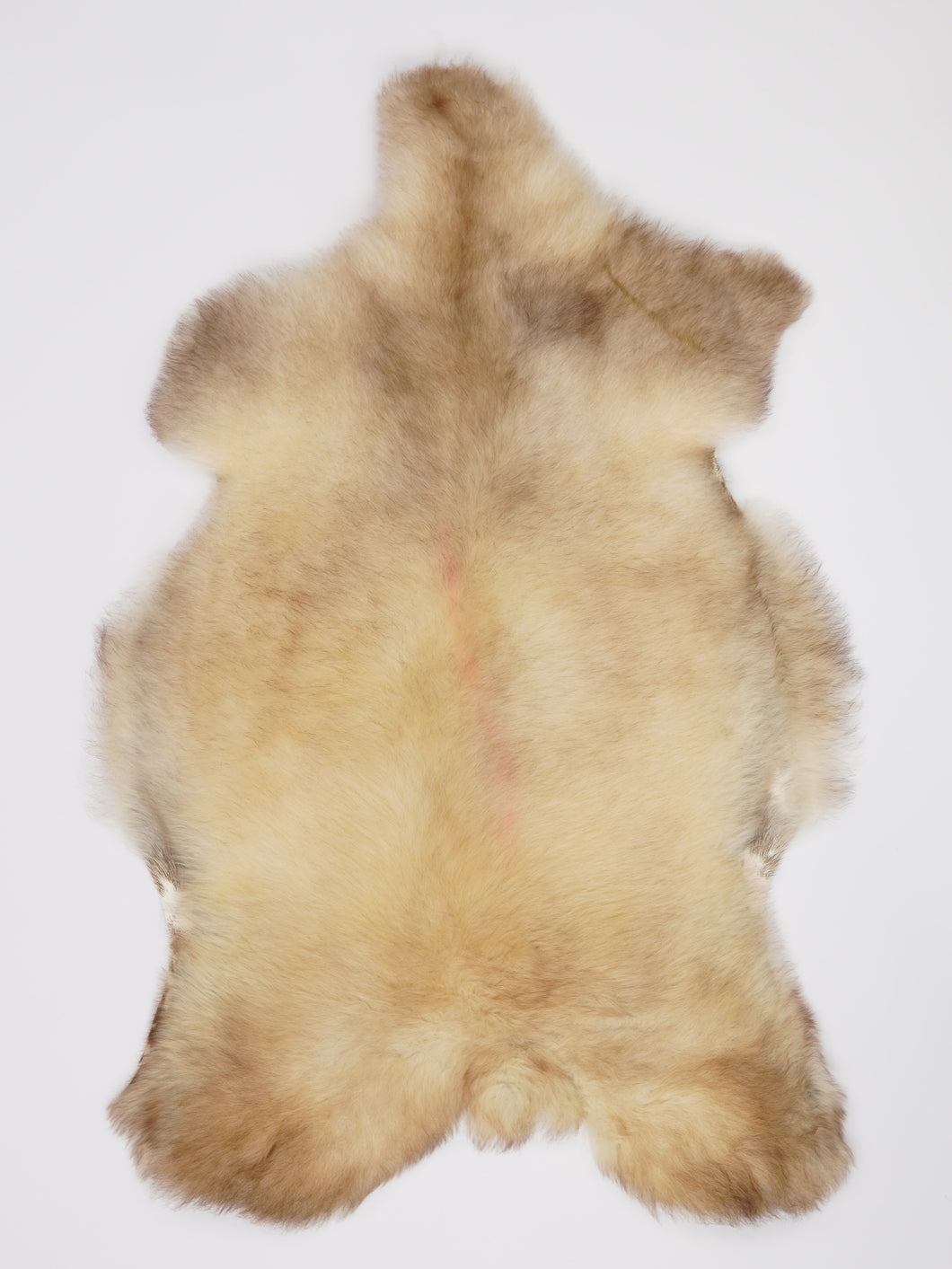 B klasės Vícebarevná ovčí kůže XL