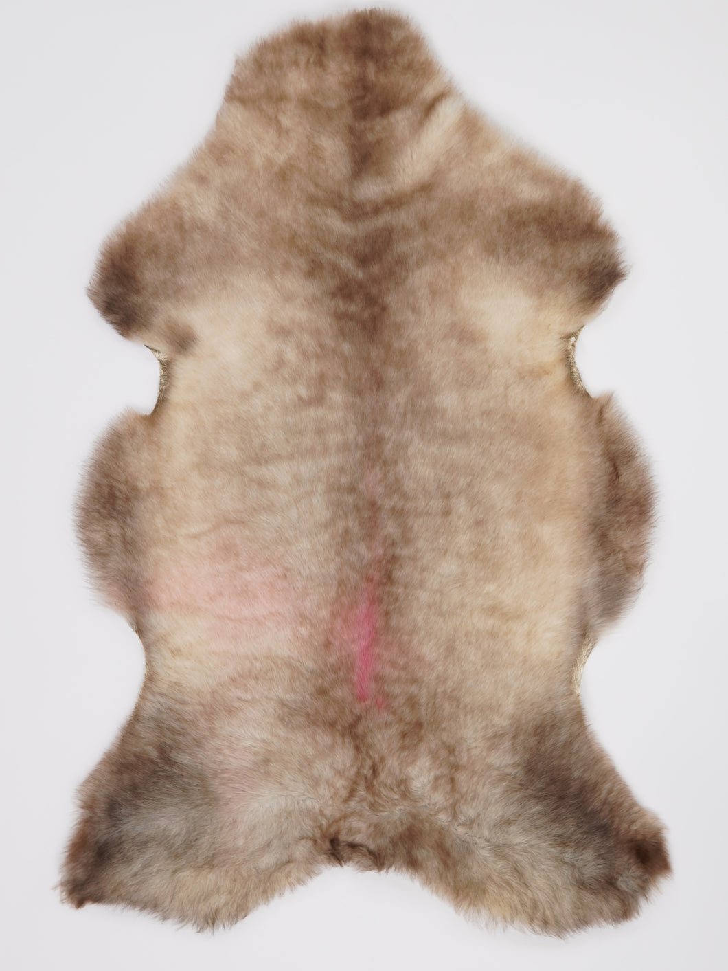 B klasės Vícebarevná ovčí kůže XL