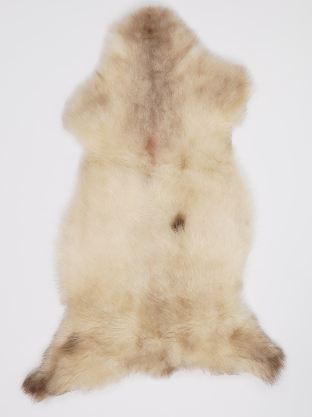 B klasės Vícebarevná ovčí kůže L