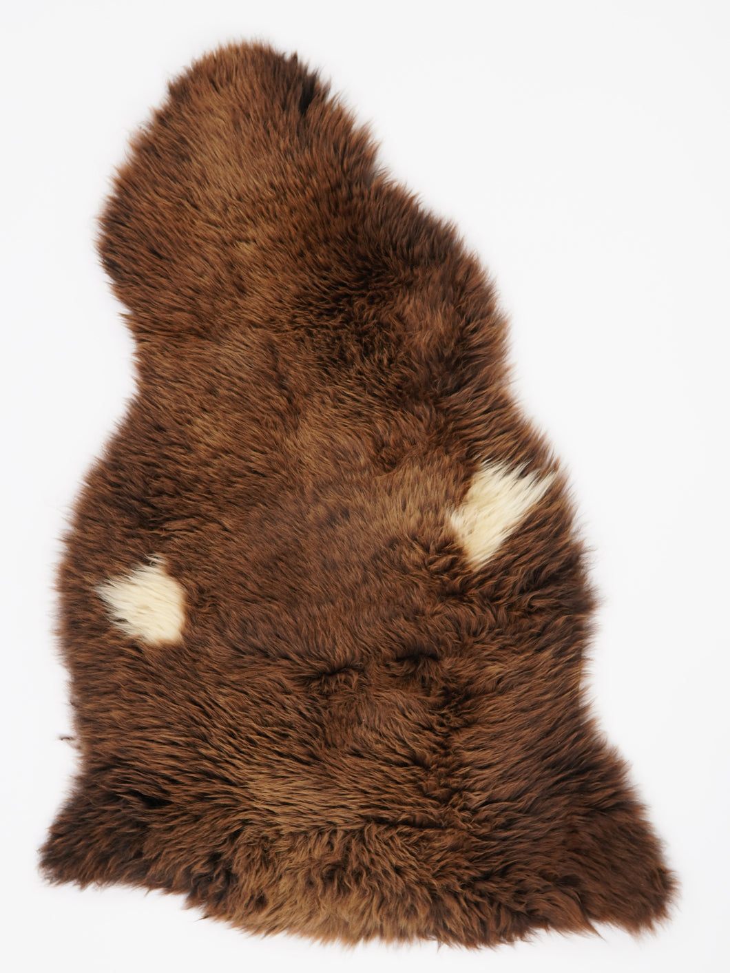 Įvairiaspalvis avikailis L