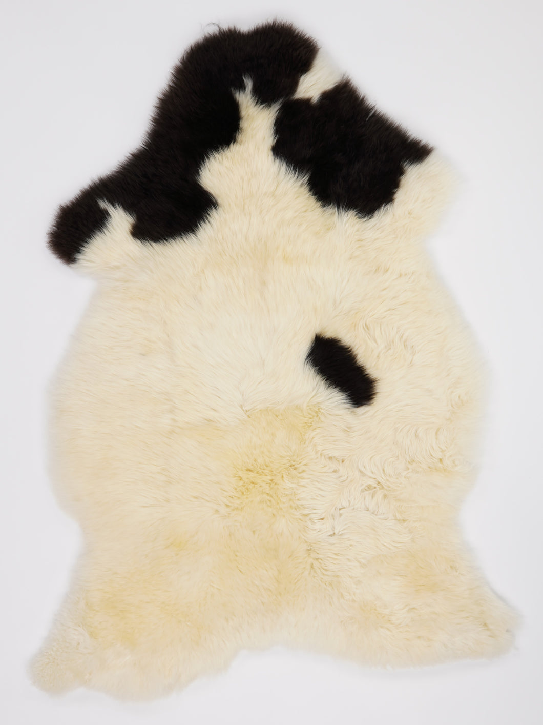 Įvairiaspalvis avikailis XL