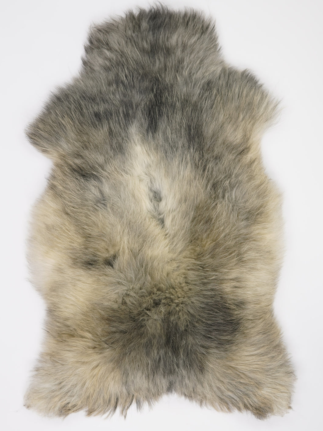 Įvairiaspalvis avikailis XL