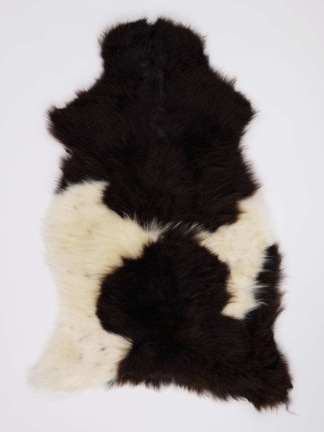 Įvairiaspalvis avikailis XL